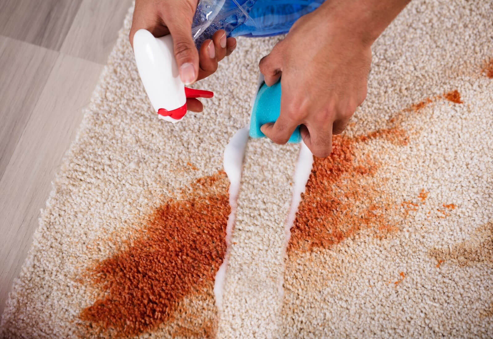 Carpet Cleaning Auckland in East Auckland