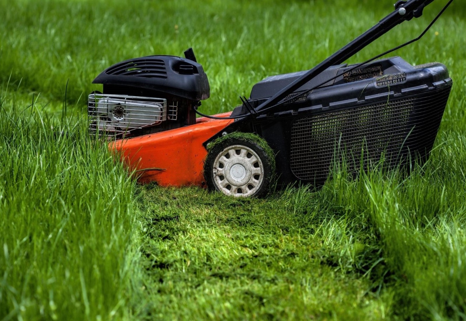 Residential Home Lawncare Lawn Mowing grass Cutting